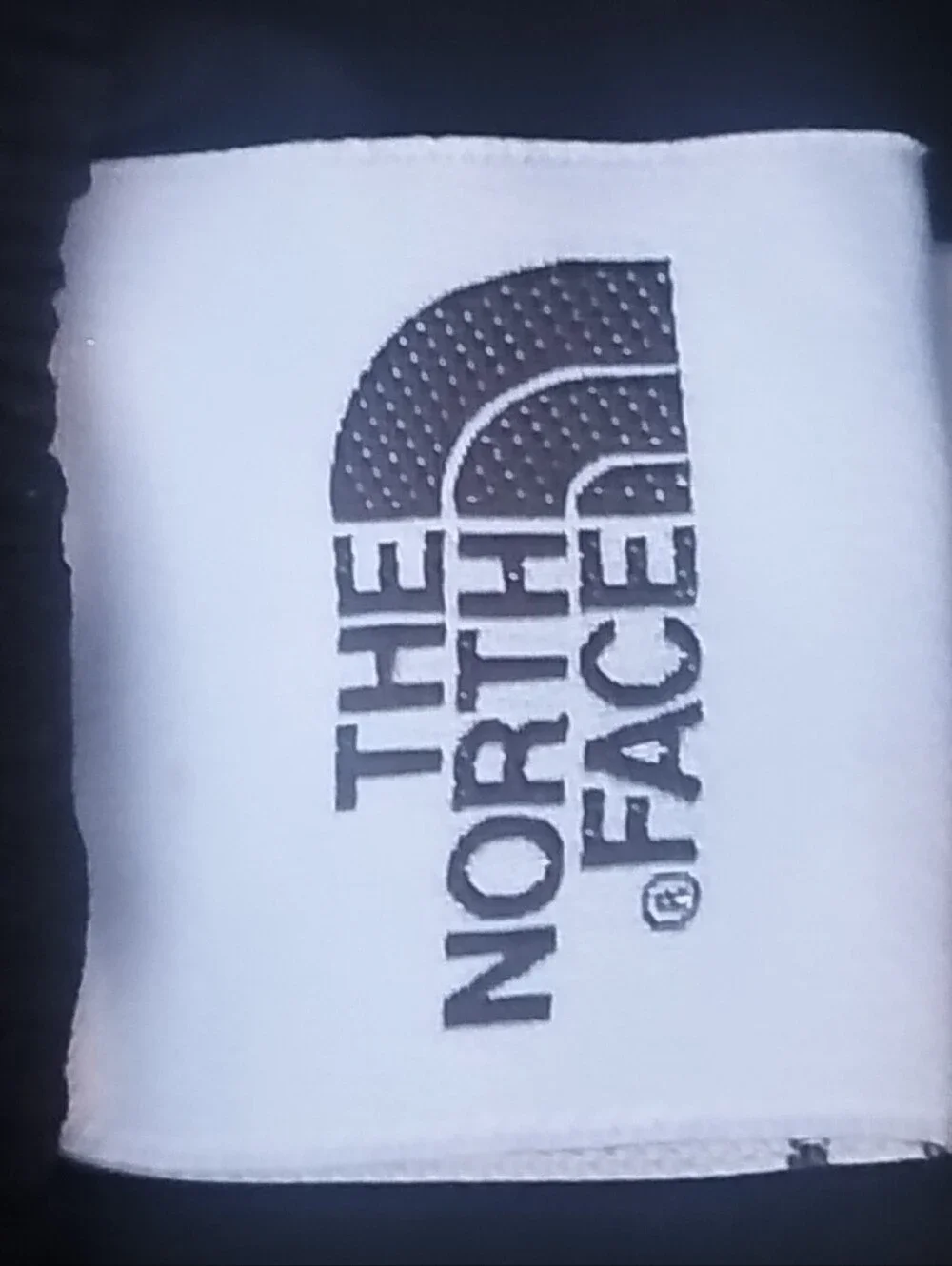 The North Face Cargo Shorts